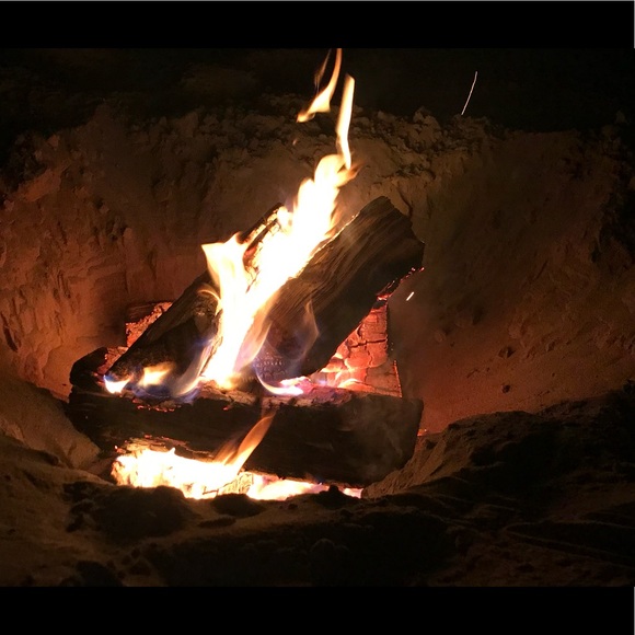 Meet your Posher, Rylee - Picture 1 of 1